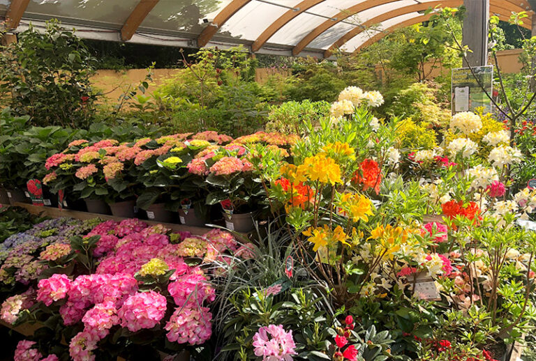 1 NEW WEBNAV OUTDOOR PLANTS 768x518