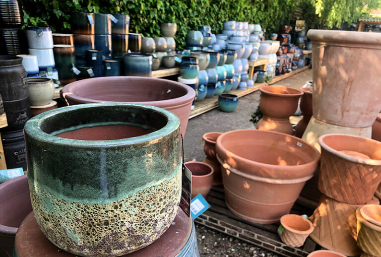 4 NEW WEBNAV POTS 768x518