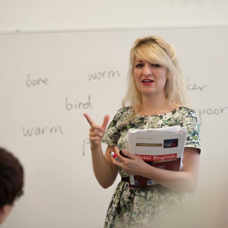 international 768x768